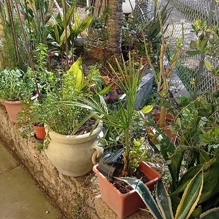 Casa Di Igor *