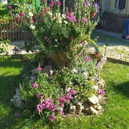 Casa Di Igor Quarto em Acomodações Particulares