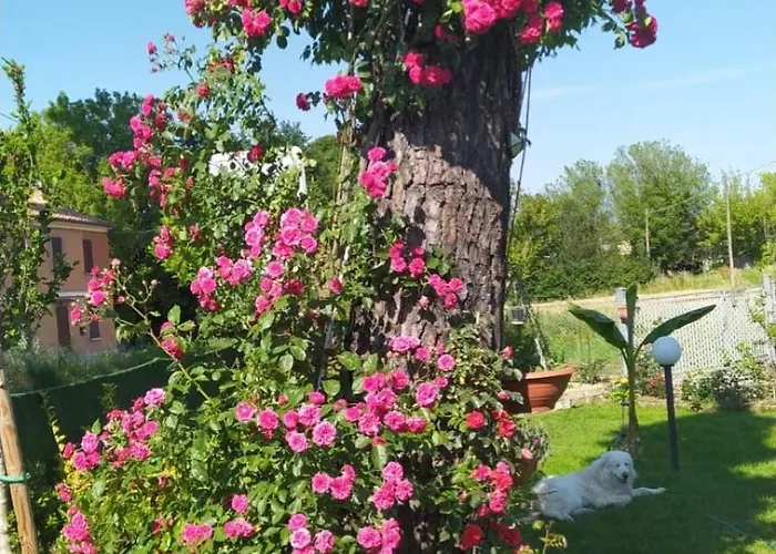 Casa Di Igor * Casemurate