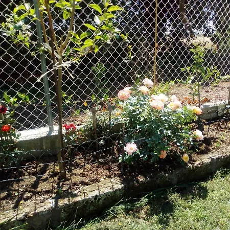 Casa Di Igor Casemurate