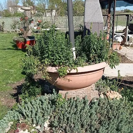 Casa Di Igor Homestay