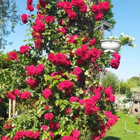 Privatunterkunft Casa Di Igor *