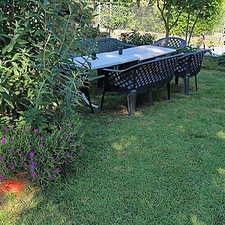 Homestay Casa Di Igor Casemurate