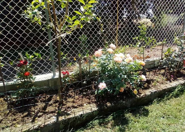 Casa Di Igor Casemurate