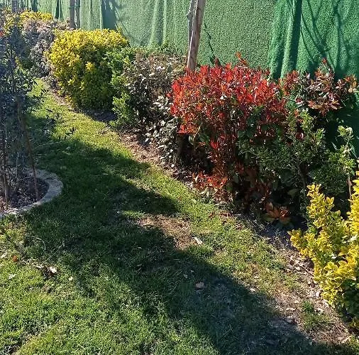 Casa Di Igor Habitación en casa particular