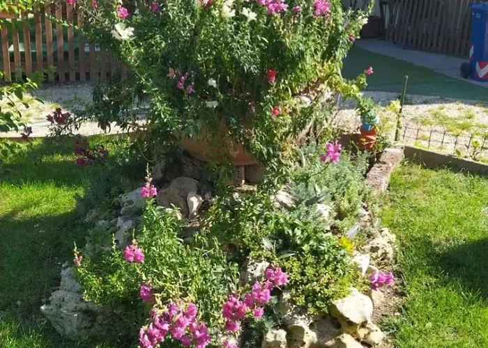 Casa Di Igor Kwatera prywatna