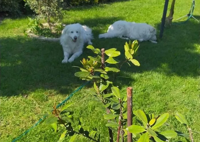 Habitación en casa particular Casa Di Igor