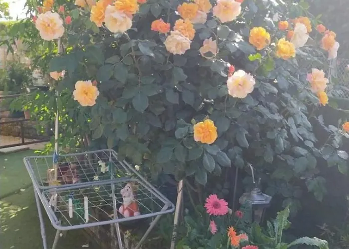 Casa Di Igor Casemurate